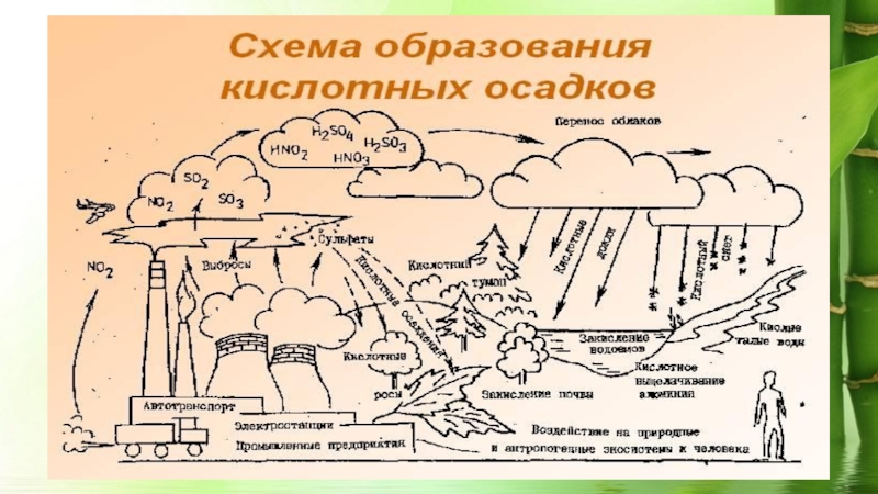 Схема механизм образования кислотных осадков