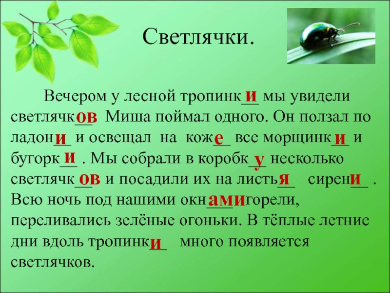 Светлячок текст. Вечером у Лесной тропинки мы увидели светлячков. Диктант вечером у Лесной тропинки мы увидели светлячков. Светлячки вечером у Лесной тропинки мы увидели светлячков. Диктант светлячки.