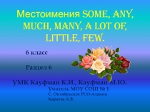 Местоимения some, any, much, many, a lot of, little, few 6 класс