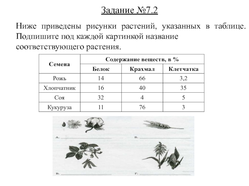 Укажите номер рисунка на котором изображен объект содержащий индивидуальное химическое вещество впр