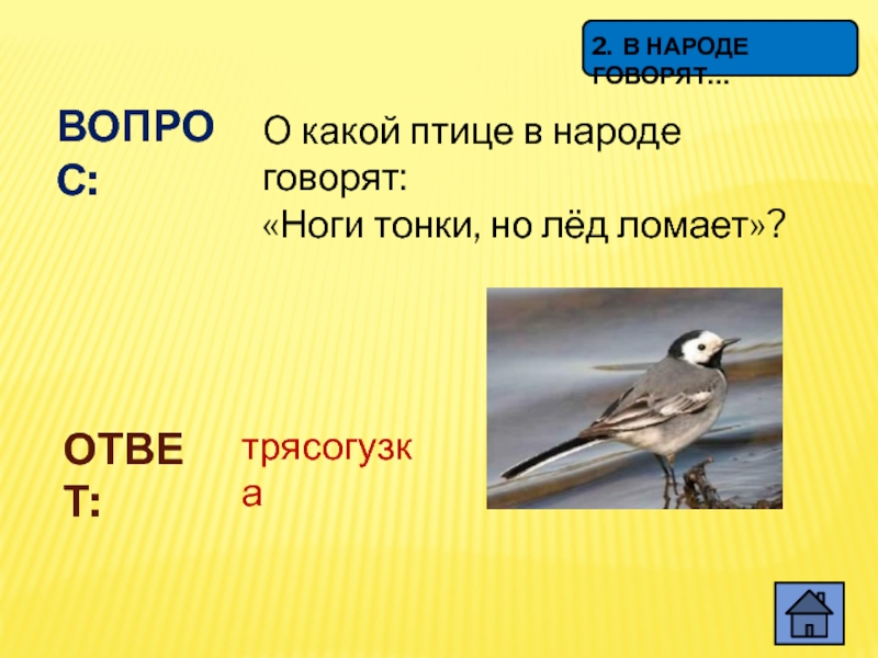 ВОПРОС:О какой птице в народе говорят: «Ноги тонки, но лёд ломает»?ОТВЕТ:трясогузка2. В НАРОДЕ ГОВОРЯТ…