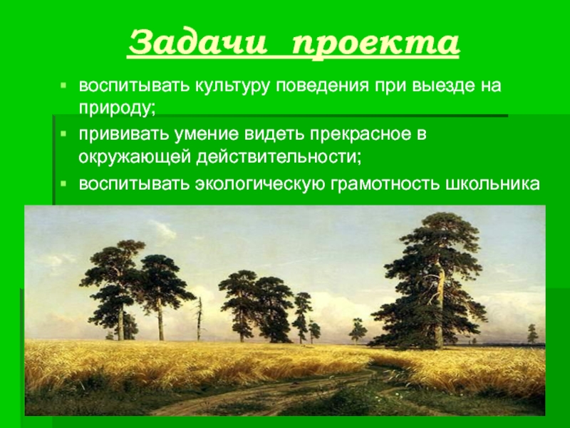 Задачи природы. Поведение культурность в природе. Какие привили в природе.