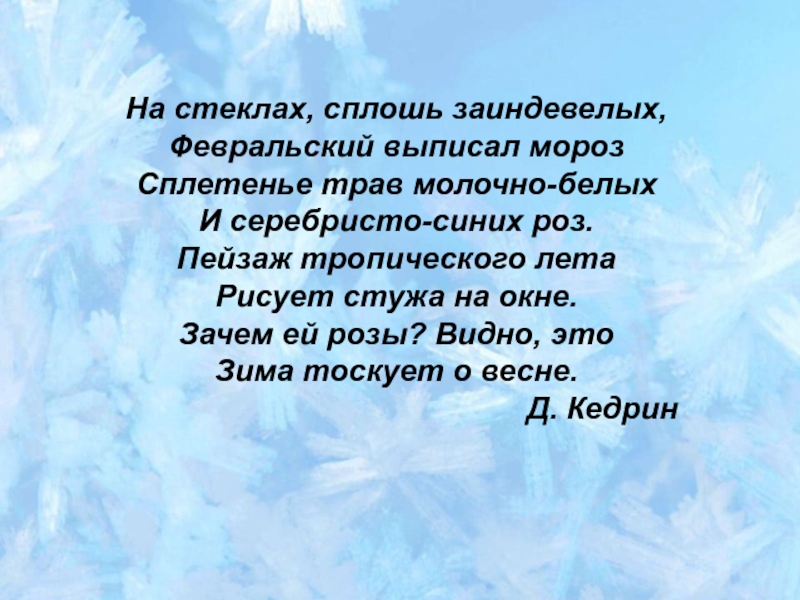 Пейзаж тропического лета рисует стужа на окне