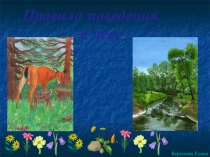Правила поведения в лесу