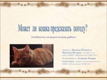 Может ли кошка предсказать погоду? 4 класс