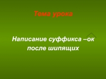 Написание суффикса –ок после шипящих