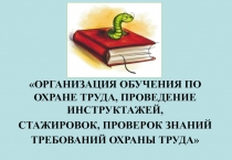 Организация обучения по охране труда, проведение инструктажей, стажировок, проверок знаний требований охраны труда