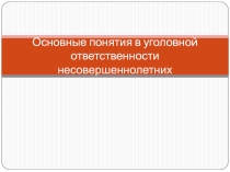 Основные понятия в уголовной ответственности несовершеннолетних