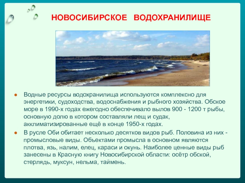 Водные богатства проект