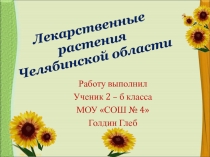 Лекарственные растения Челябинской области 2 класс