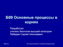 Основные процессы в корнях 6 класс