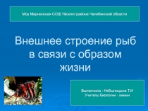 Внешнее строение рыб в связи с образом жизни 7 класс