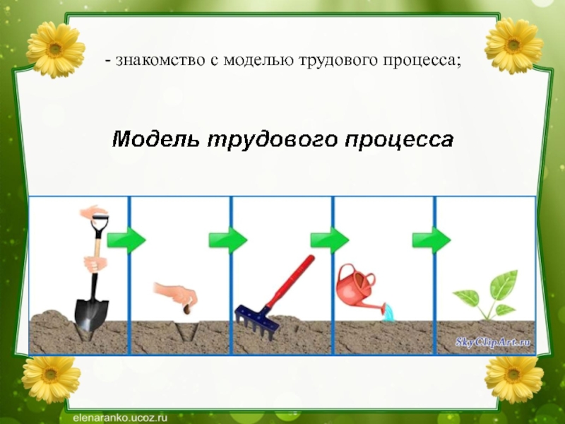 Модель трудового процесса для дошкольников картинки