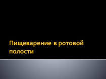 Пищеварение в ротовой полости