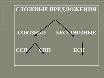 Бессоюзные сложные предложения. Постановка знаков препинания в БСП