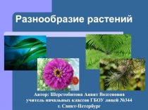 Разнообразие растений на Земле 3 класс