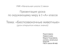 Беспозвоночные животные 3 класс