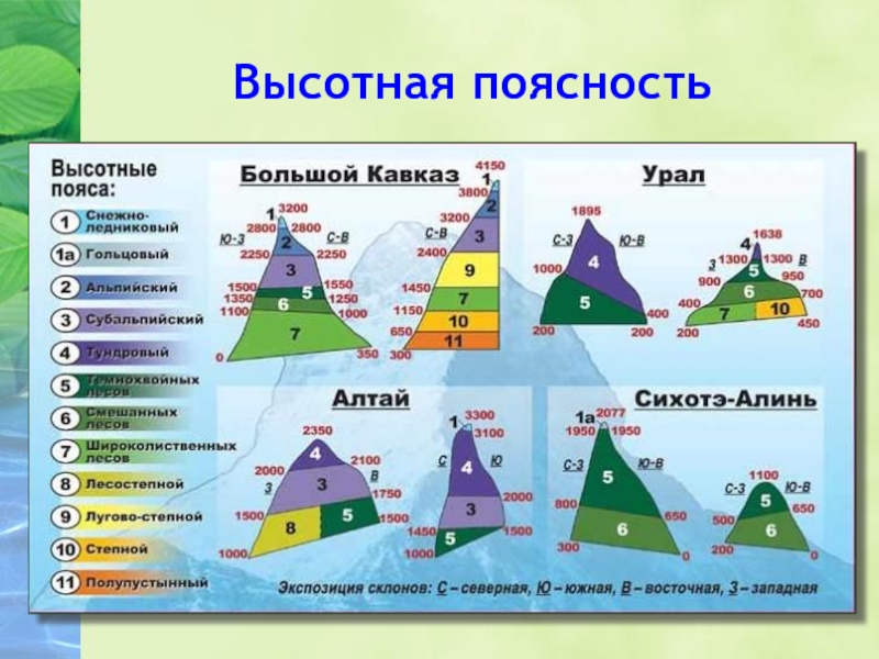 Природные пояса гор урала. Природные зоны России Высотная поясность. Природные зоны ВЫСОТНОЙ поясности. Высотная поясность? Природные пояса. Высотная поясность (умеренные широты).
