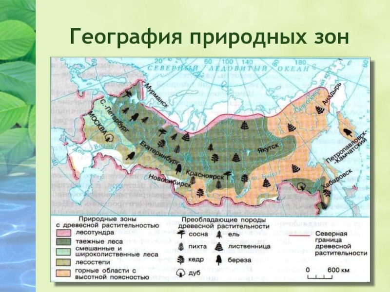 Карта природных зон 6 класс география