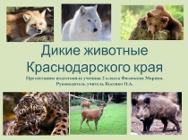 Дикие животные Краснодарского края 2 класс