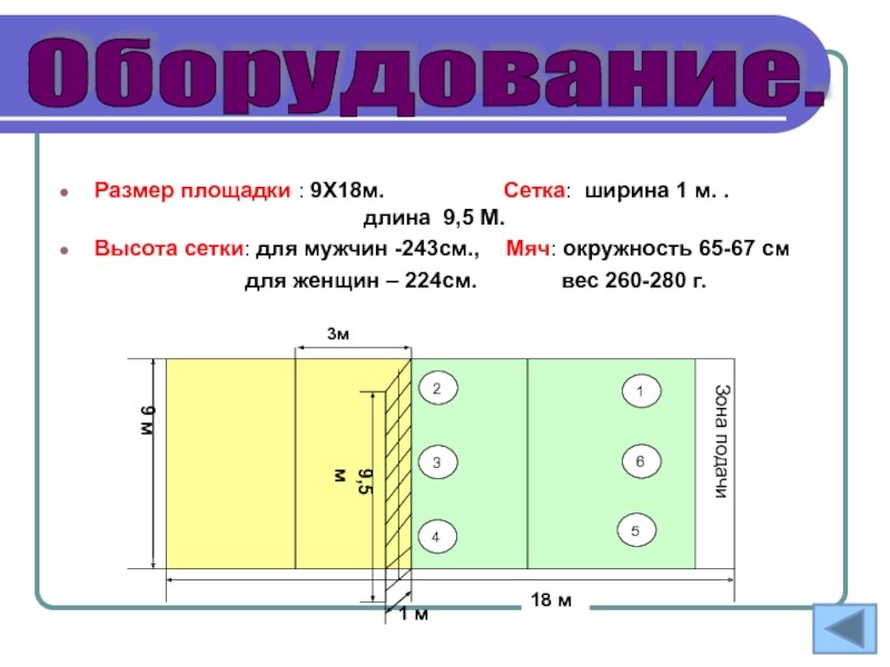 Размер площадки. Разметка волейбольной площадки 9х18. Сетка на детской площадке Размеры. Размер площадки для проведения линеек. Размер площадки для 10 человек.