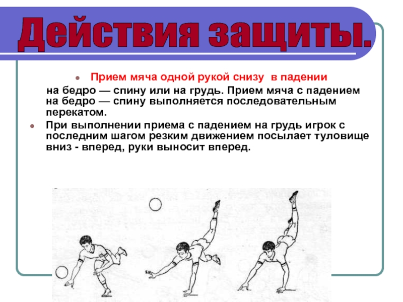 После перемещения. Прием мяча снизу одной рукой в волейболе. Техника приема мяча снизу 2 руками. Приём мяча одной рукой снизу с последующим падением в волейболе. Техника приёма мяча одной рукой снизу с последующим падением.