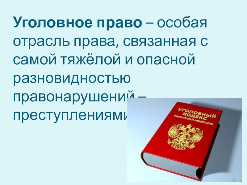 Презентация по теме уголовно правовые отношения 9 класс