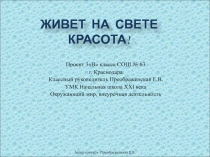 Живет на свете красота! 3-4 класс