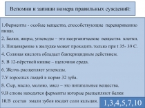 Функции тонкого и толстого кишечника. Всасывание. Барьерная роль печени 8 класс