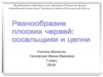 Разнообразие плоских червей: сосальщики и цепни 7 класс