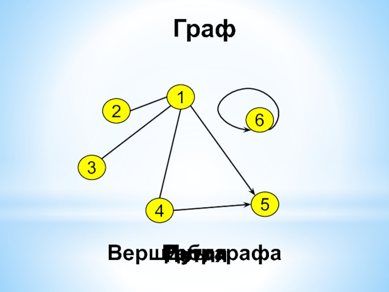 Дуга графа. Граф с петлями. Неориентированный Граф с петлей. Петля в графе. Петли в графах.