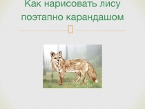 Как нарисовать лису поэтапно карандашом