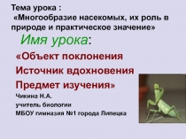 Многообразие насекомых, их роль в природе и практическое значение 7 класс