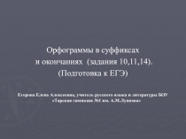 Орфограммы в суффиксах и окончаниях (задания 10,11,14) (Подготовка к ЕГЭ)