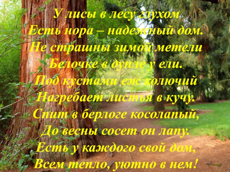 Лиса в лесу стих. Стих у лисы в лесу глухом есть Нора надежный дом. Стихотворение у лисы в лесу глухом. Стих дом в лесу. У каждого свой дом стих.