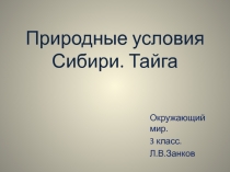 Природные условия Сибири. Тайга 3 класс