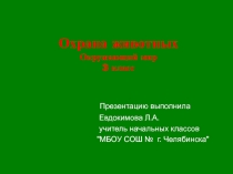 Презентация по окружающему миру 