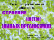 Строение клеток живых организмов