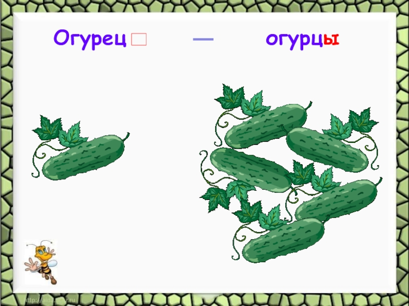 Класс огурцов. Огурец текст для детей. Текст про огурец. Вопросы к тексту огурцы. Логопед огурец огурцы.