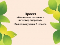 Проект 