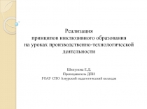 Реализация принципов инклюзивного образования на уроках производственно-технологической деятельности