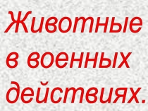 Животные в военных действиях