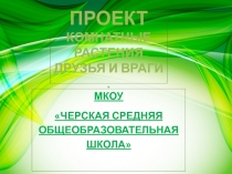 Проект 