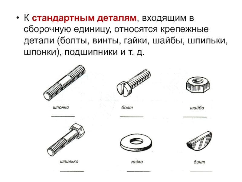 На сборочных чертежах болты винты шпильки шпонки и другие не пустотелые детали в продольном разрезе