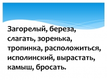 Правописание корней с чередованием 5 класс