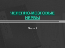 Черепно-мозговые нервы