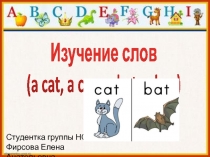 Изучение слов a cat, a cap, a bat, a bag