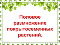 Половое размножение покрытосеменных растений 6 класс