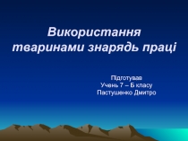 Використання тваринами знарядь праці 7 класс