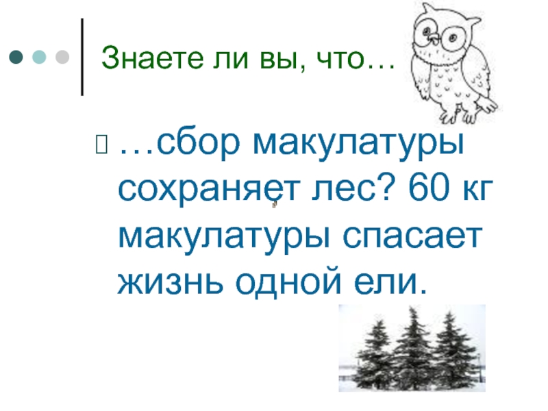 Жизнь ели. Сбор макулатуры сохраняет лес 60 кг макулатуры спасает жизнь одной ели.